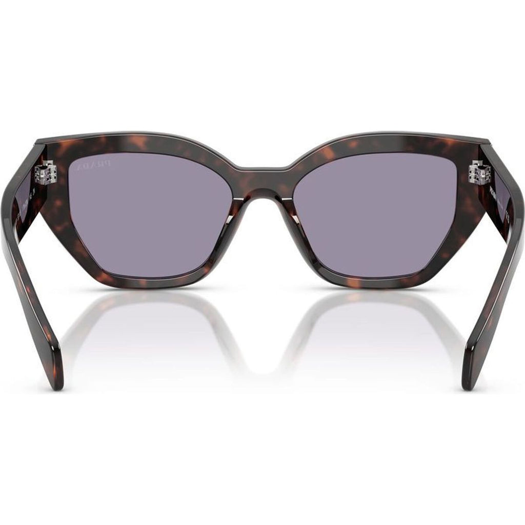 PRA09S, Root Tortoise/Grey Lenses