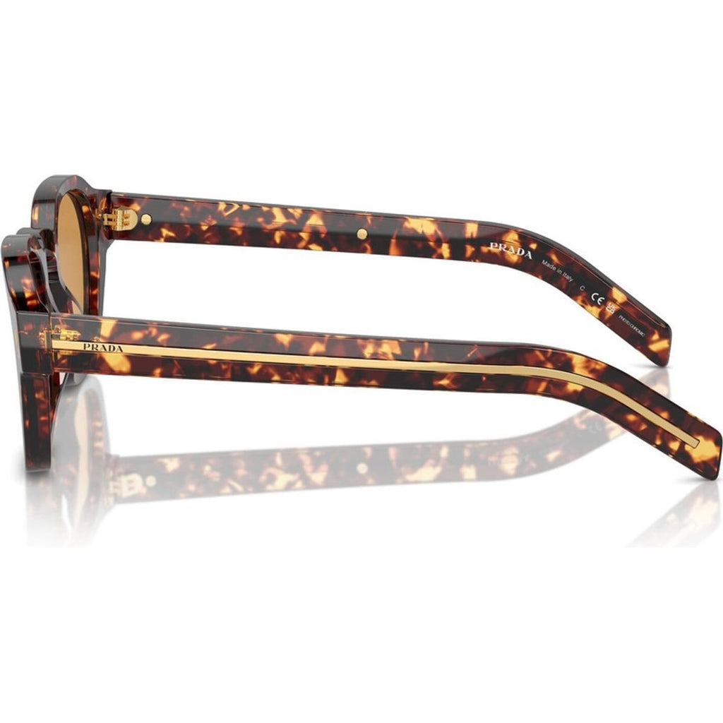 PRA16S, Magma Tortoise/Light Brown Photochromic Glass Lenses 52 Eye Size