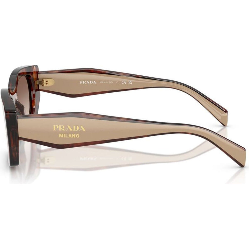 PRB05S, Caramel Tortoise/Brown Gradient Lenses