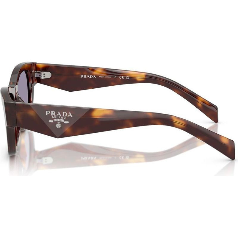 PRB09S, Classic Tortoise/Grey Lenses 54 Eye Size