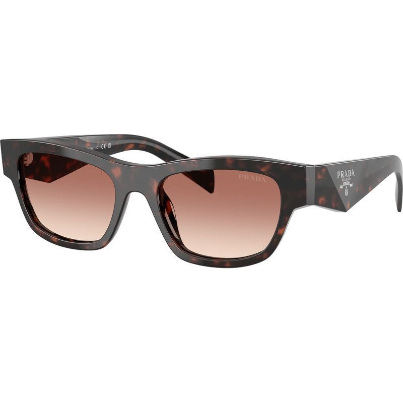 PRB09S, Root Tortoise/Light Brown Bordeaux Gradient Lenses 54 Eye Size