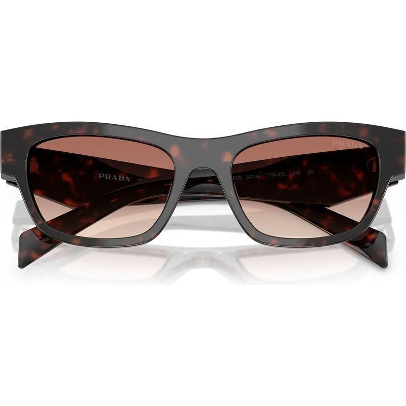 PRB09S, Root Tortoise/Light Brown Bordeaux Gradient Lenses 54 Eye Size