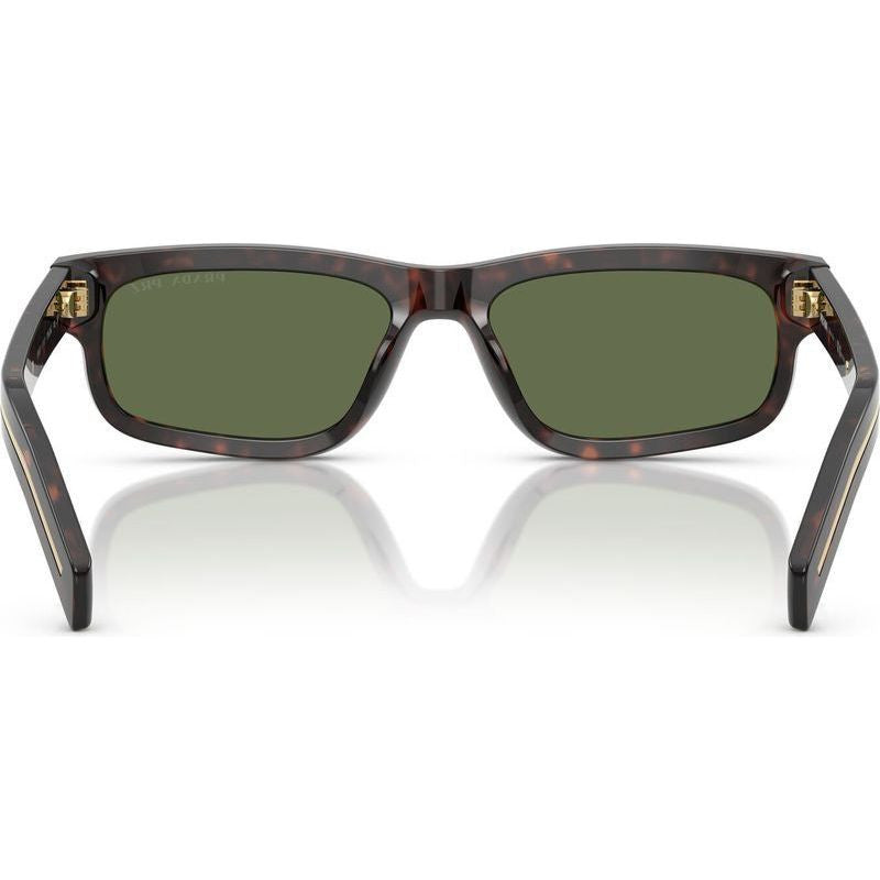 PRB11S, Root Tortoise/Green Polarised Lenses 57 Eye Size