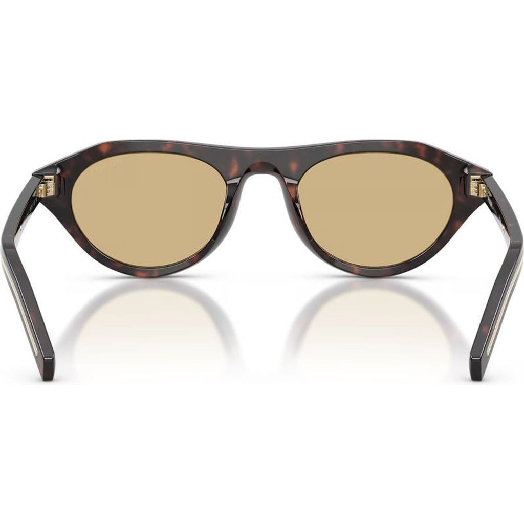 PRB15S, Root Tortoise/Light Brown Glass Lenses