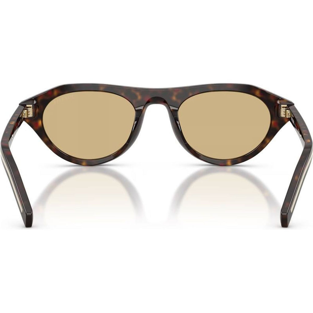 PRB15SF, Root Tortoise/Light Brown Glass Lenses