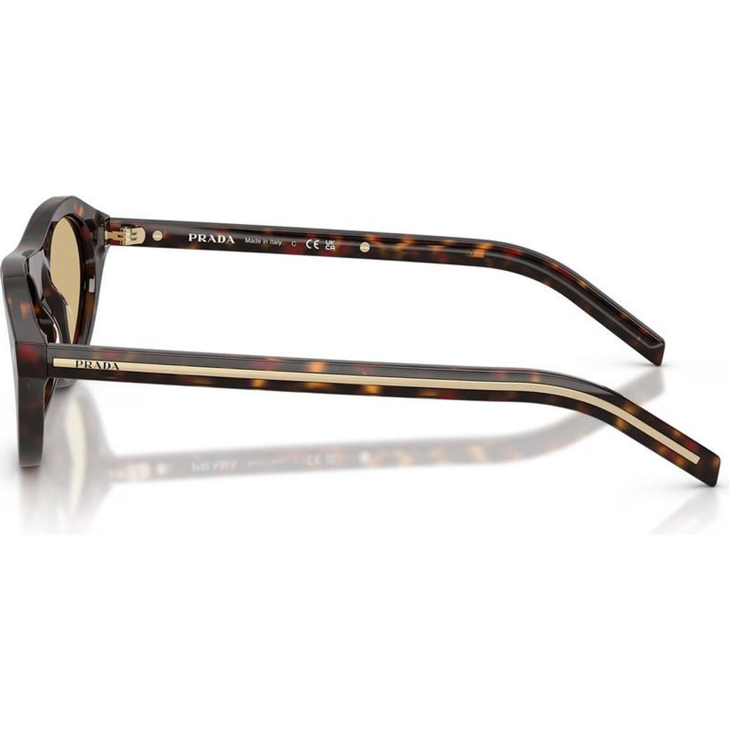 PRB15SF, Root Tortoise/Light Brown Glass Lenses