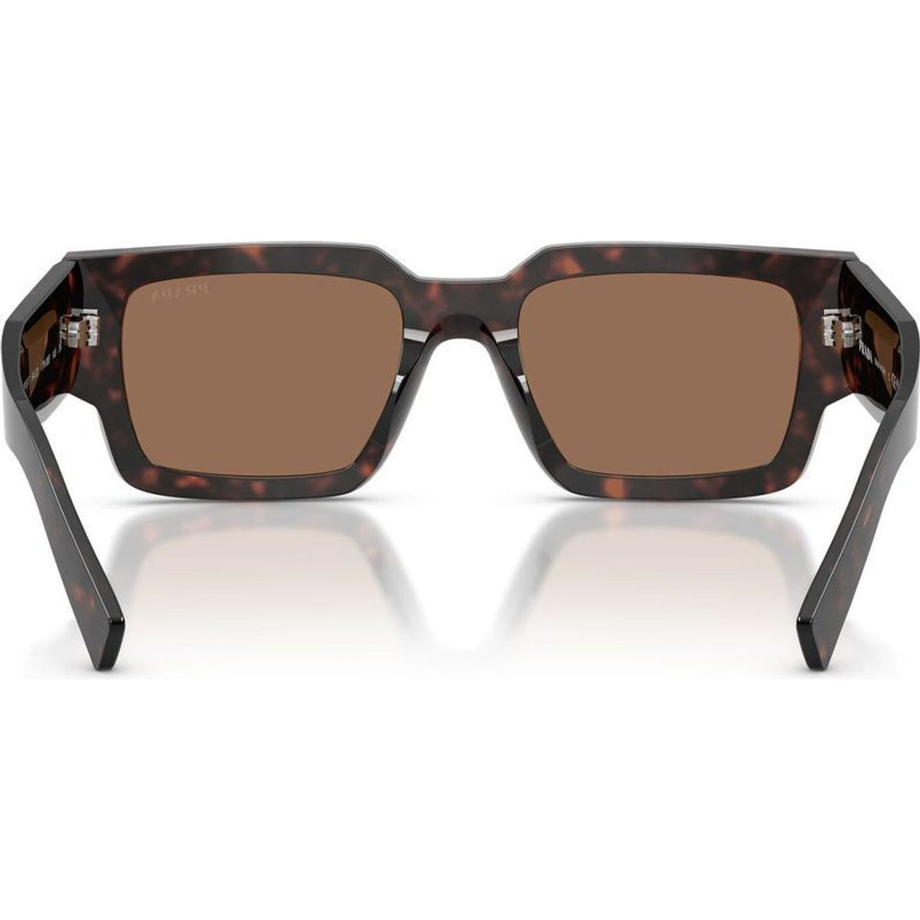 PRB17S, Root Tortoise/Dark Brown Lenses