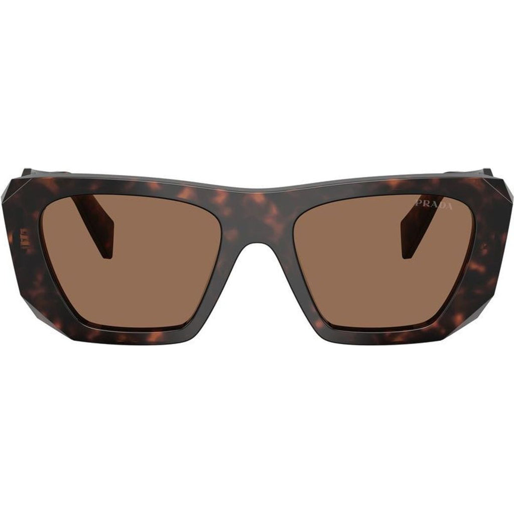 PRB18SF, Root Tortoise/Dark Brown Lenses