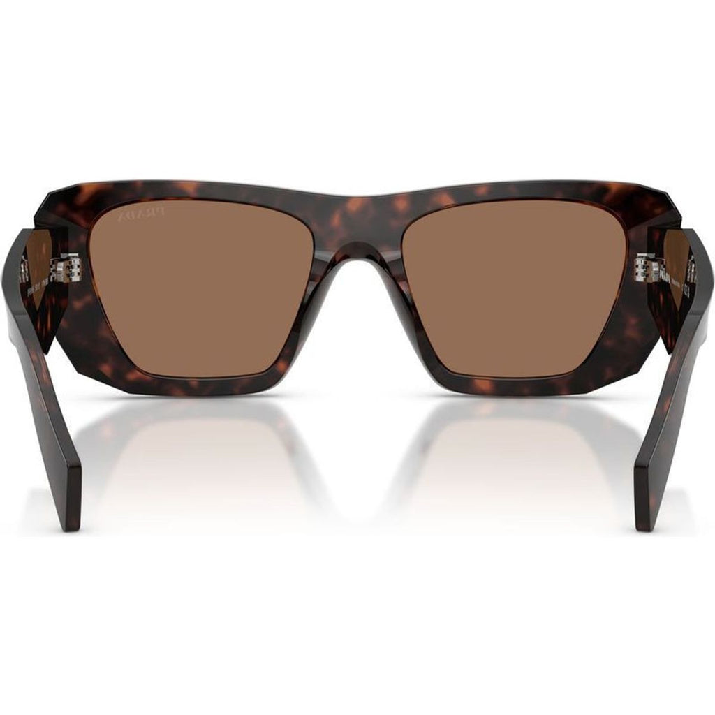 PRB18SF, Root Tortoise/Dark Brown Lenses