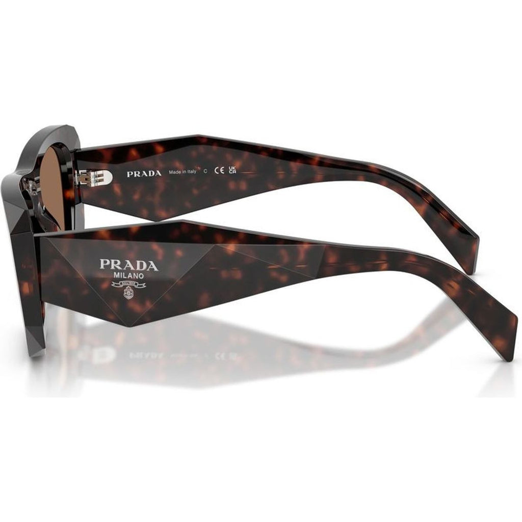 PRB18SF, Root Tortoise/Dark Brown Lenses