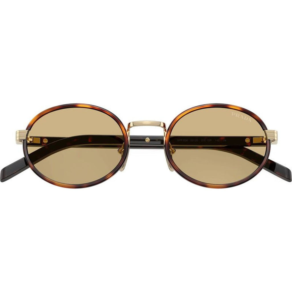 PRB56S, Root Tortoise/Lente Camomilla Bio Lenses