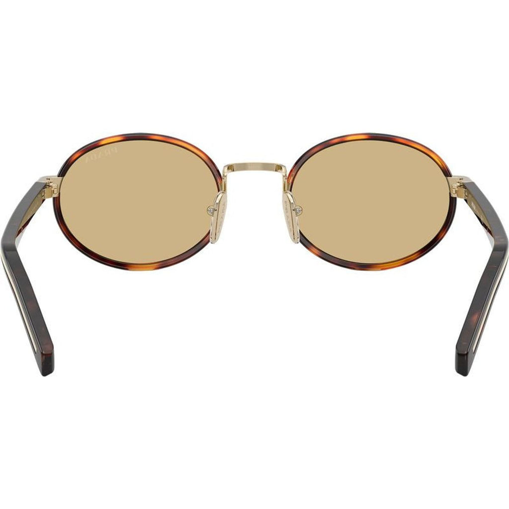 PRB56S, Root Tortoise/Lente Camomilla Bio Lenses