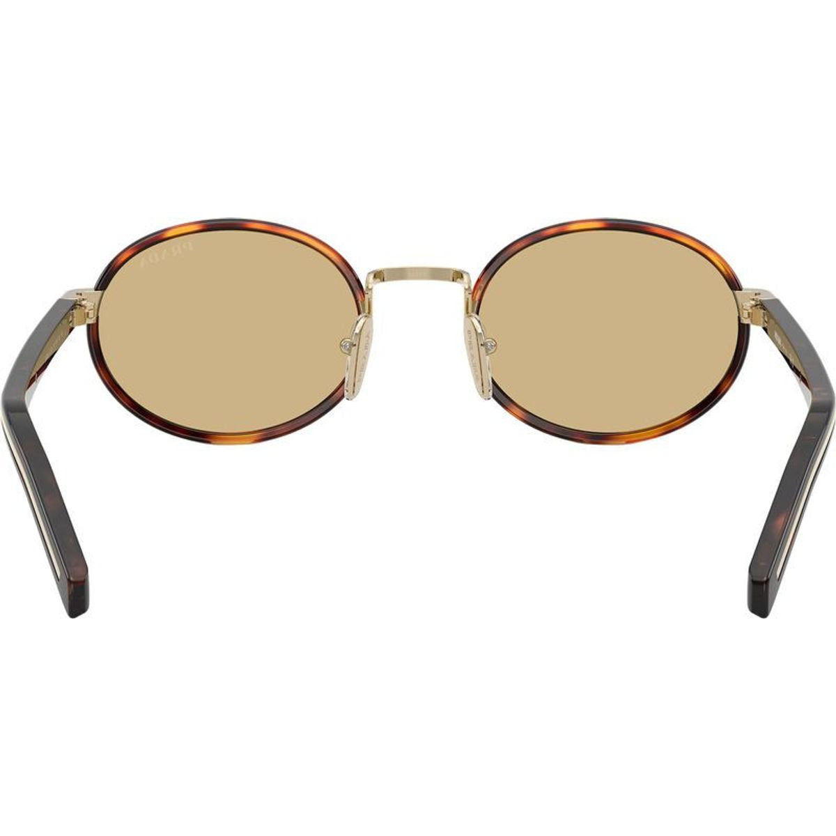 PRB56S, Root Tortoise/Lente Camomilla Bio Lenses