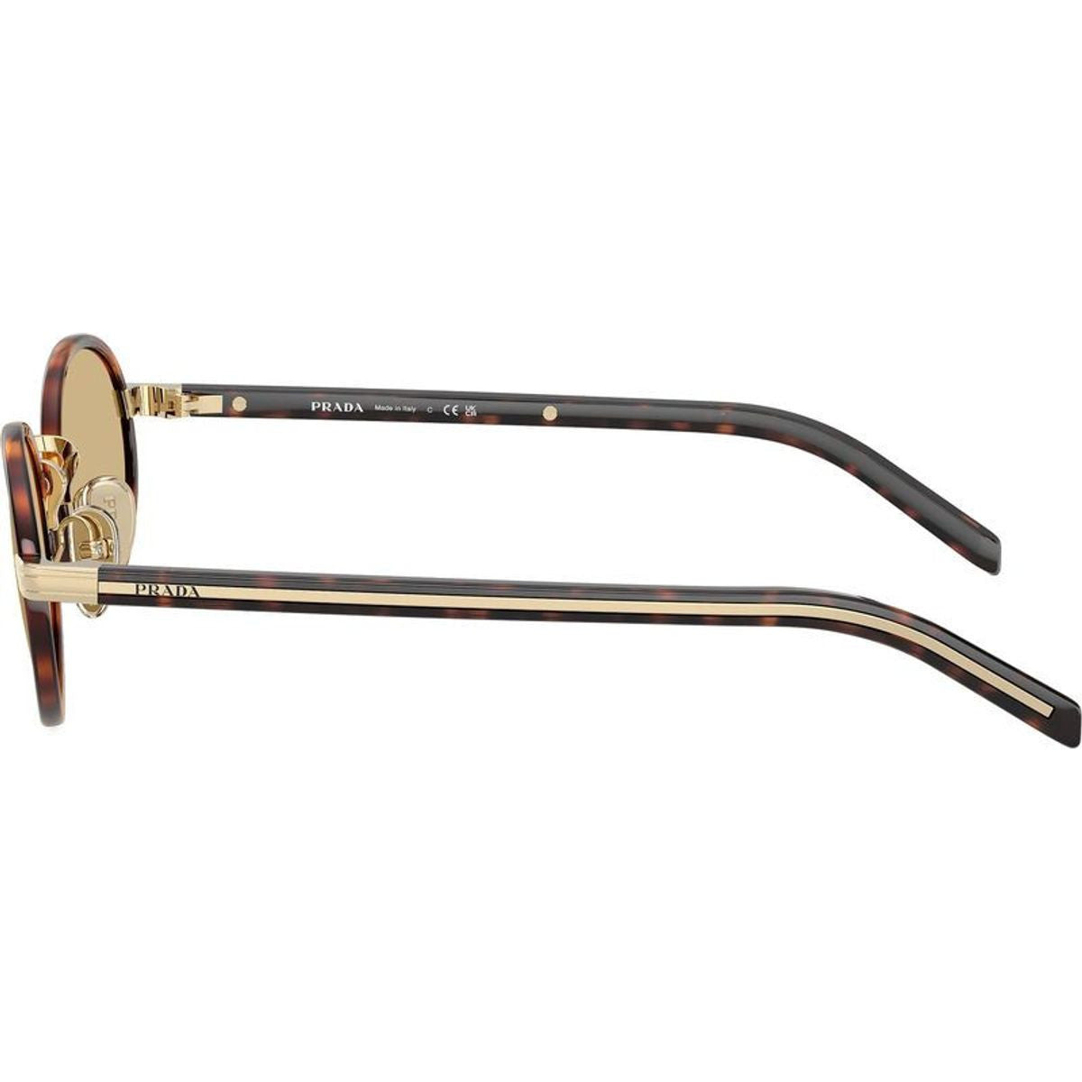 PRB56S, Root Tortoise/Lente Camomilla Bio Lenses