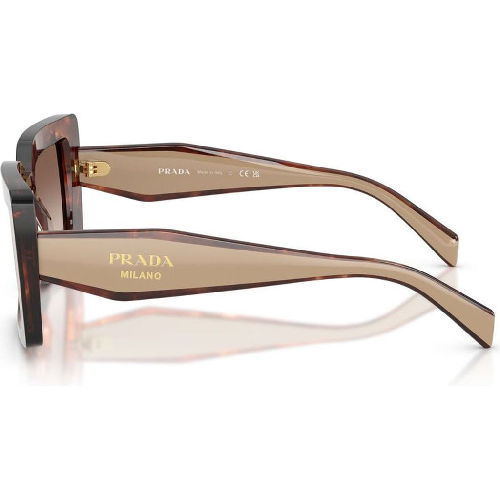 PRD01S, Caramel Tortoise/Brown Gradient Lenses