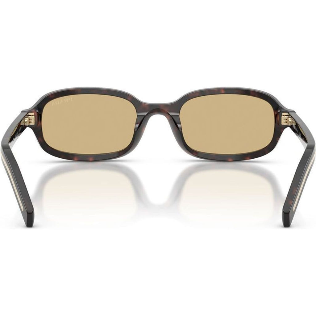 PRD06S, Root Tortoise/Light Brown Glass Lenses