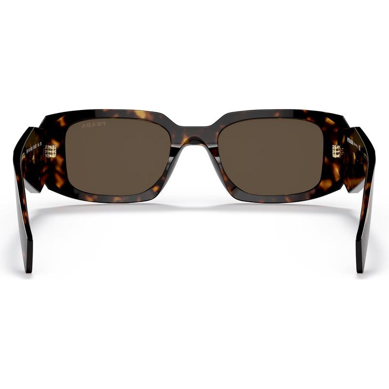 PR17WS, Tortoise/Brown Lenses
