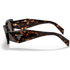 PR17WS, Tortoise/Brown Lenses