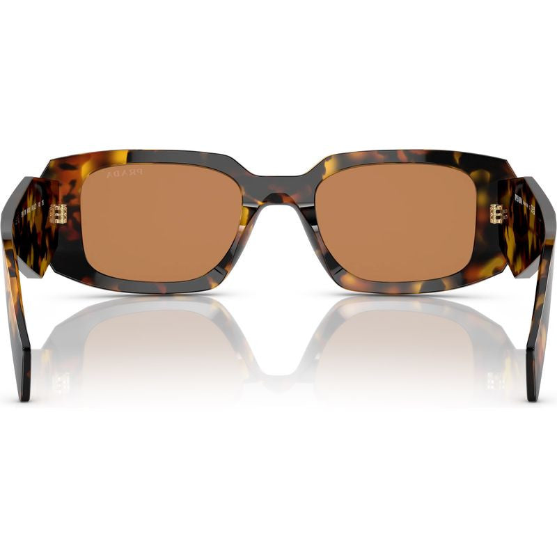 PR17WSF, Honey Tortoise/Dark Brown Lenses
