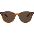 RB4305, Striped Red Havana/Dark Brown Lenses
