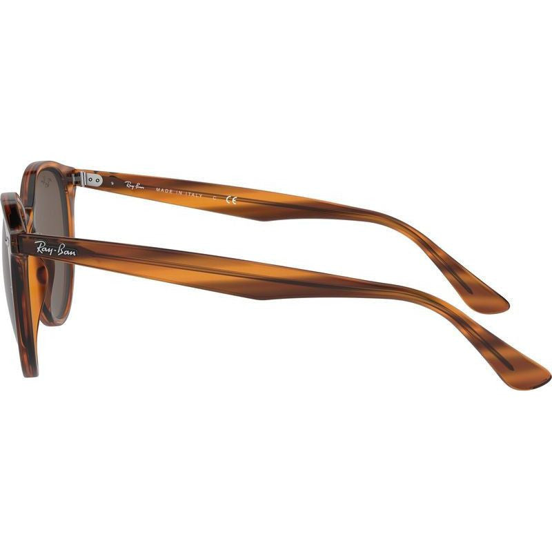 RB4305, Striped Red Havana/Dark Brown Lenses
