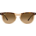 Eagleeye RB2398, Havana on Transparent Brown/Brown Gradient Polarised Glass Lenses