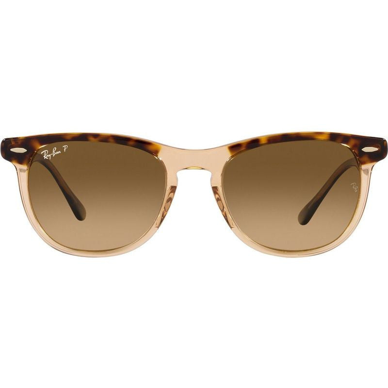 Eagleeye RB2398, Havana on Transparent Brown/Brown Gradient Polarised Glass Lenses