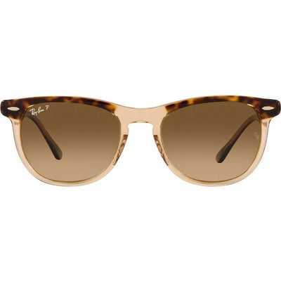Eagleeye RB2398, Havana on Transparent Brown/Brown Gradient Polarised Glass Lenses