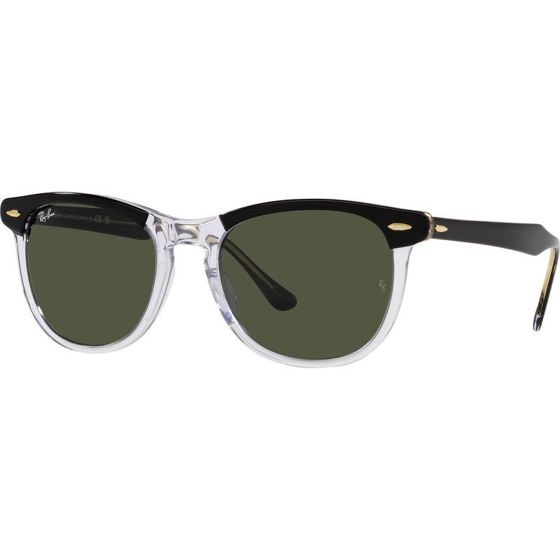 Eagleeye RB2398, Black on Transparent/Green Glass Lenses