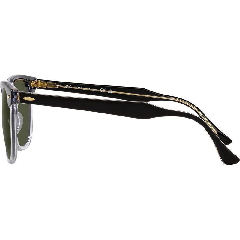 Eagleeye RB2398, Black on Transparent/Green Glass Lenses