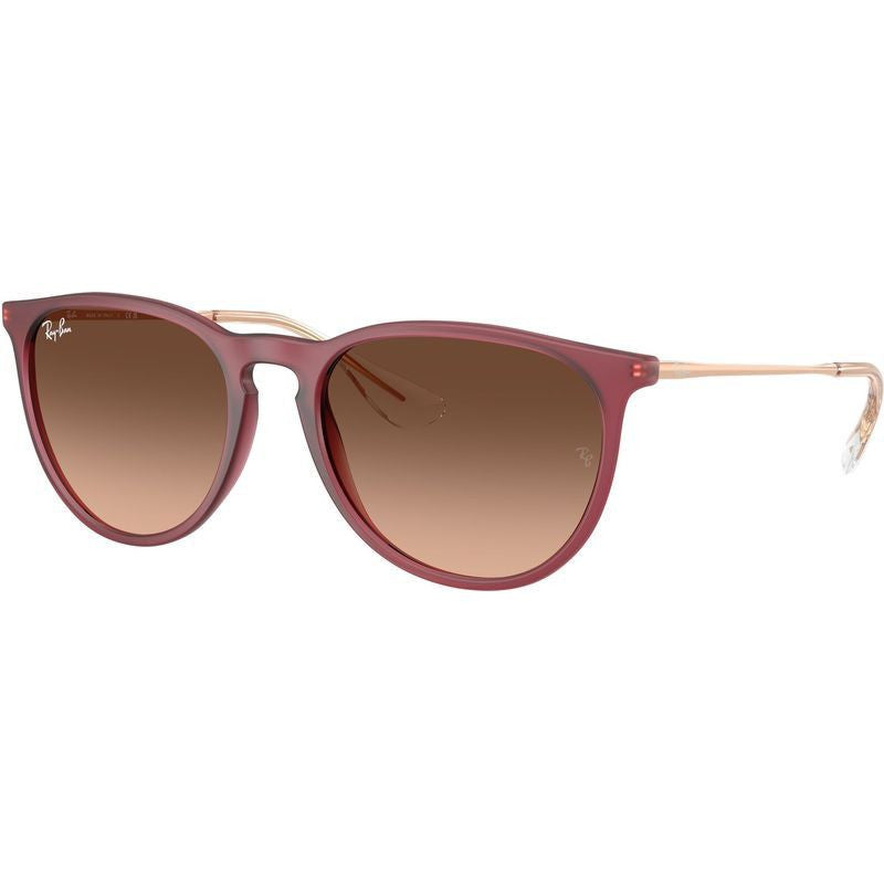Erika Classic RB4171, Rubber Violet/Brown Pink Gradient Lenses