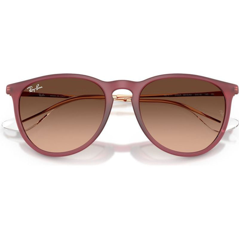 Erika Classic RB4171, Rubber Violet/Brown Pink Gradient Lenses