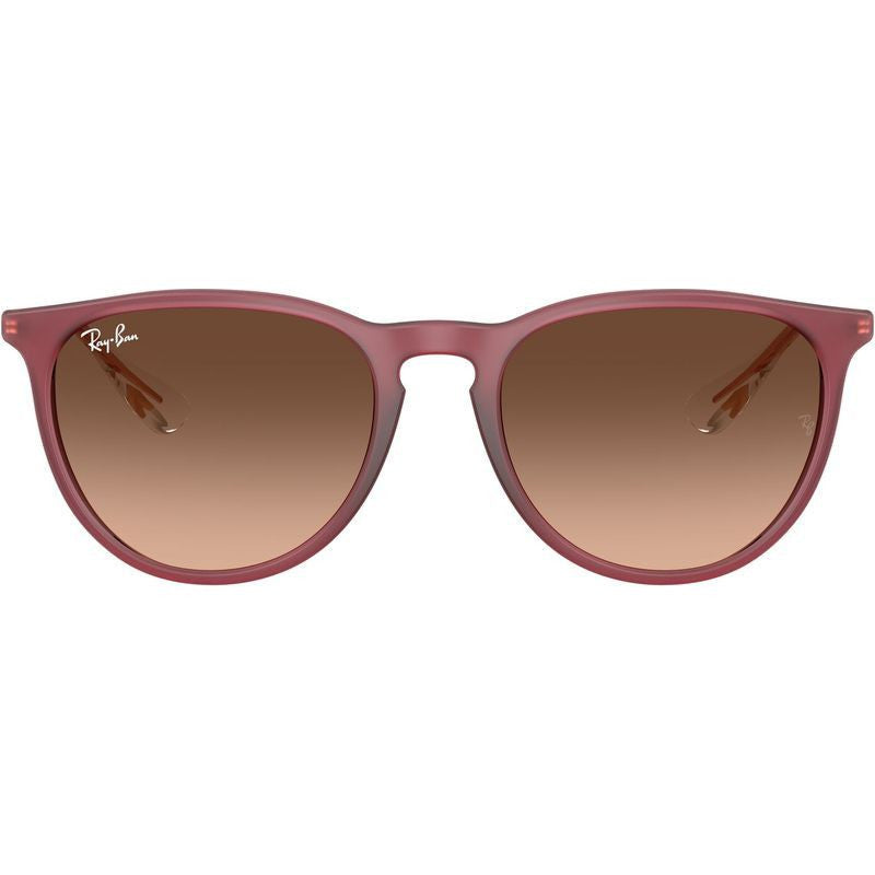 Erika Classic RB4171, Rubber Violet/Brown Pink Gradient Lenses