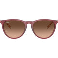 Erika Classic RB4171, Rubber Violet/Brown Pink Gradient Lenses