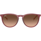 Erika Classic RB4171, Rubber Violet/Brown Pink Gradient Lenses