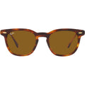 Hawkeye RB2298, Striped Havana/Brown Gradient Glass Lenses 52 Eye Size