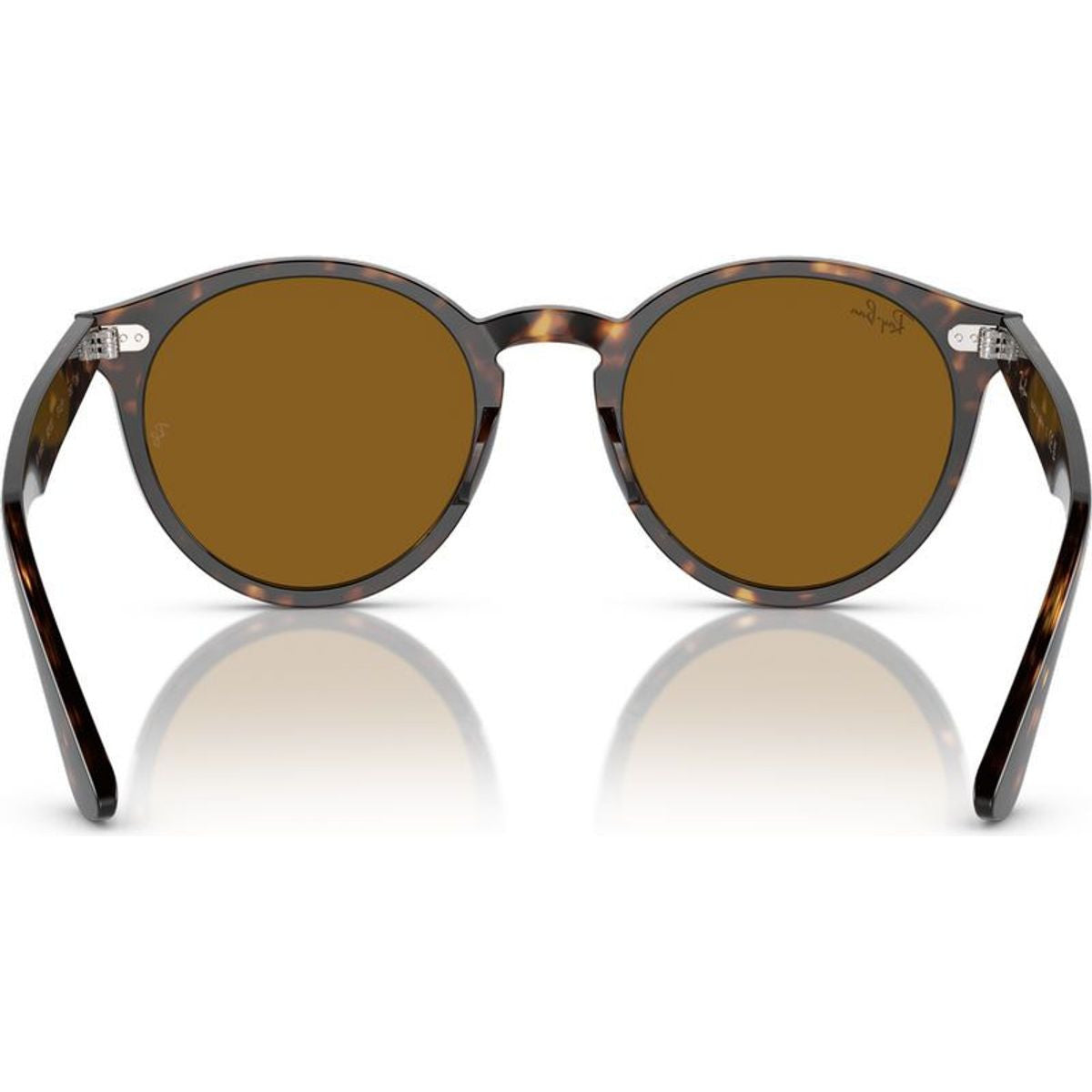 Larry RB7680S, Havana/Brown Glass Lenses 49 Eye Size