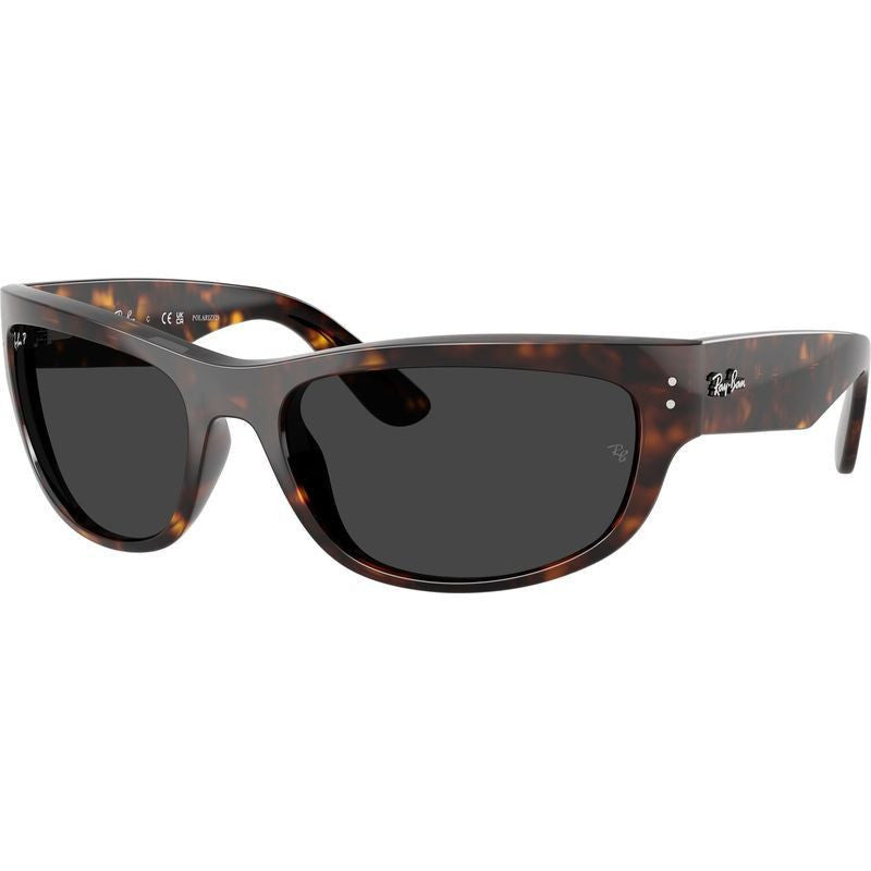 Mega Balorama RB2289, Havana/Black Glass Polarised Lenses 60 Eye Size
