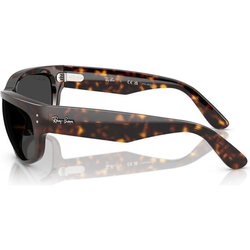 Mega Balorama RB2289, Havana/Black Glass Polarised Lenses 63 Eye Size