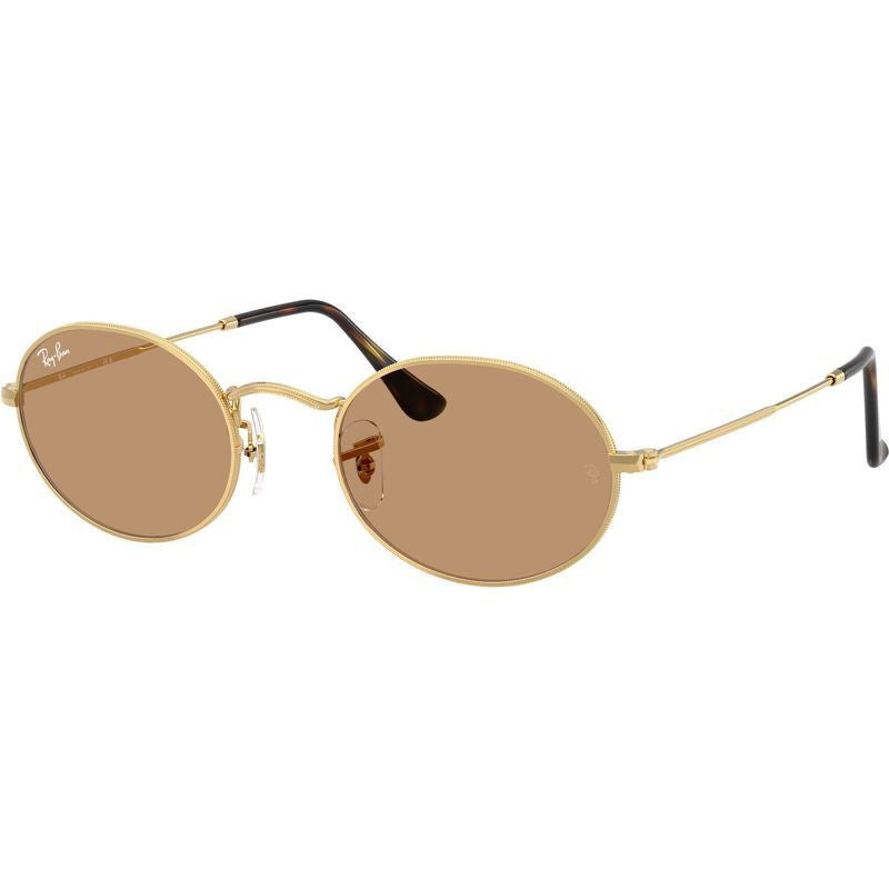 Oval RB3547, Arista/Brown Glass Lenses 51 Eye Size