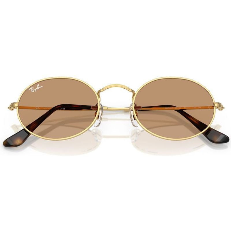 Oval RB3547, Arista/Brown Glass Lenses 51 Eye Size