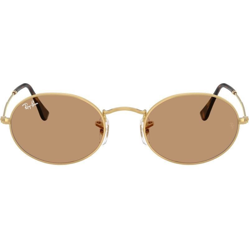 Oval RB3547, Arista/Brown Glass Lenses 51 Eye Size