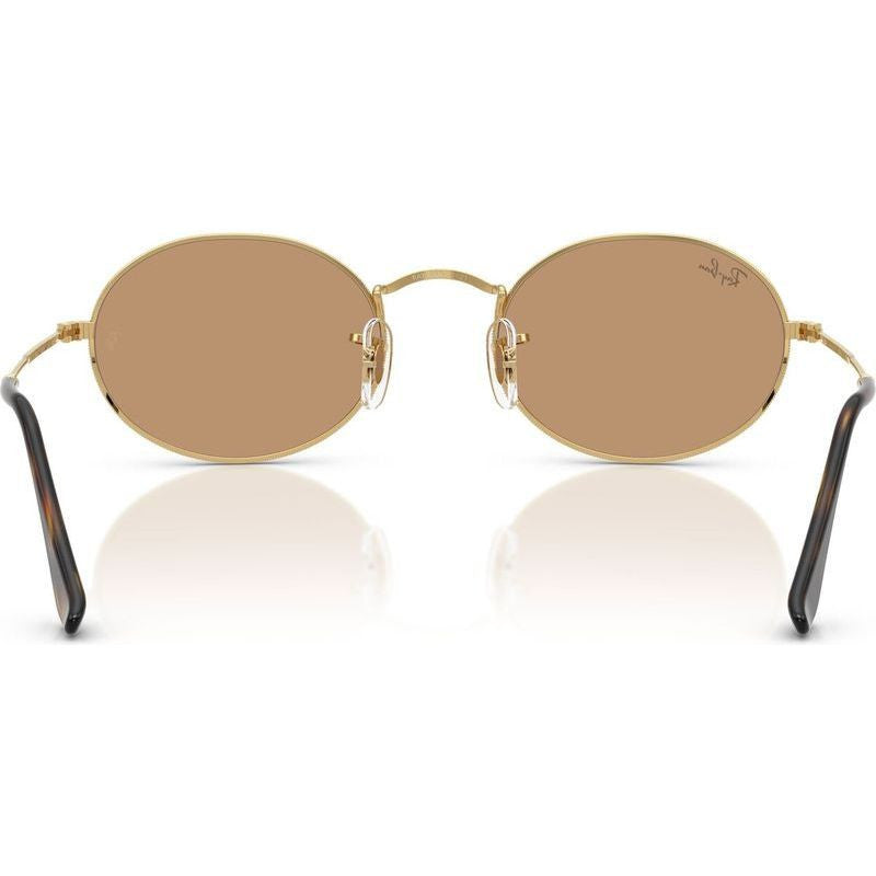Oval RB3547, Arista/Brown Glass Lenses 51 Eye Size