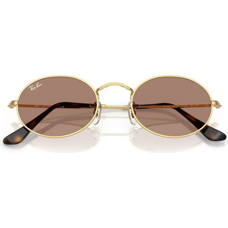 Oval RB3547, Arista/Light Violet Glass Lenses 51 Eye Size