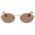 Oval RB3547, Arista/Light Violet Glass Lenses 51 Eye Size