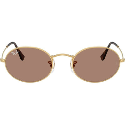Oval RB3547, Arista/Light Violet Glass Lenses 51 Eye Size