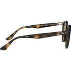 RB2180, Light Havana/Brown Lenses 49 Eye Size