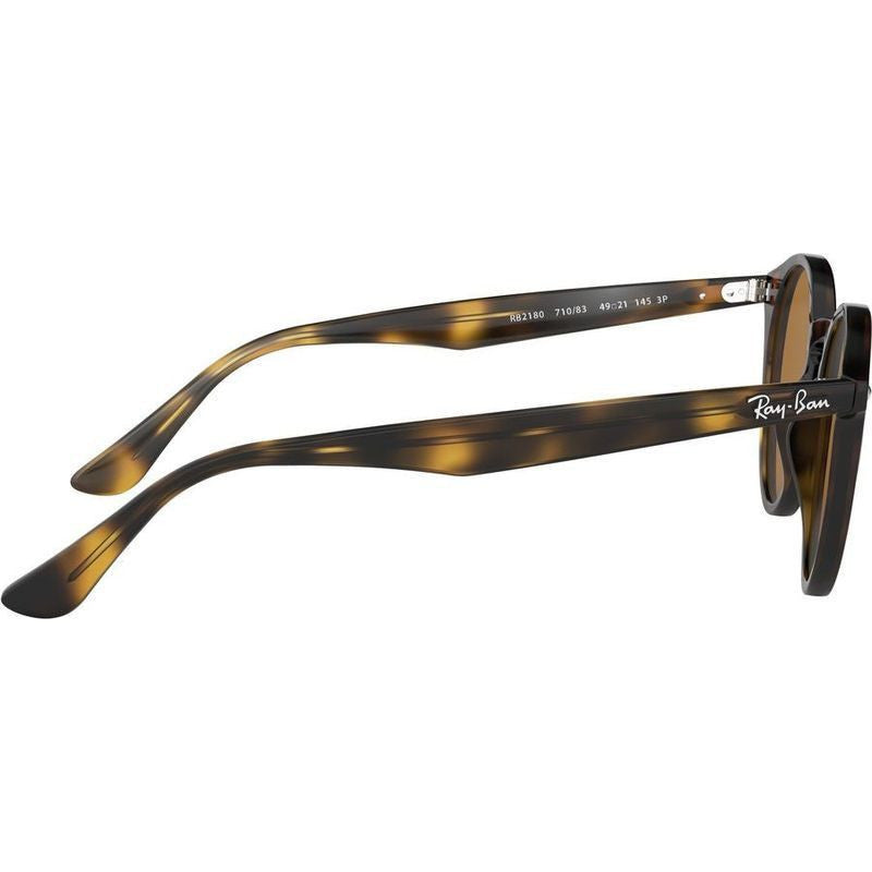 RB2180, Light Havana/Brown Polarised Lenses 49 Eye Size