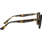 RB2180, Light Havana/Brown Polarised Lenses 49 Eye Size