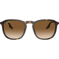 RB2203, Havana/Light Brown Gradient Glass Lenses 55 Eye Size